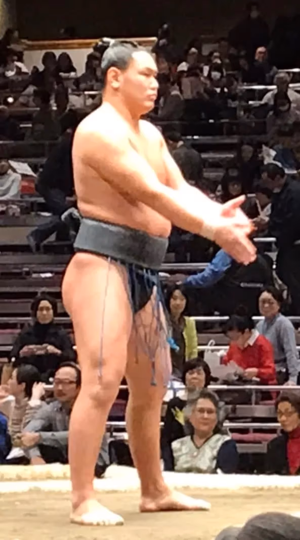 豊昇龍